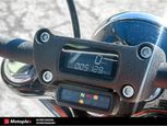 Harley-Davidson STREET BOB FXBBS 114 2021 - Thumbnail 6