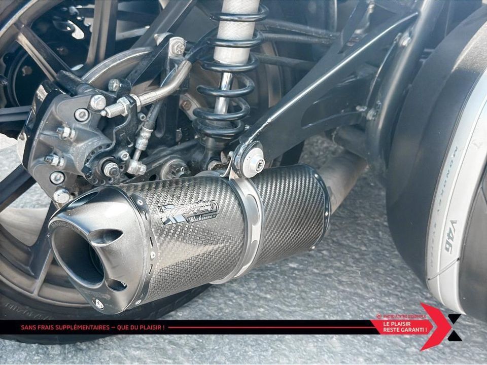 Campagna T-REX 16S 2017 - Image 4