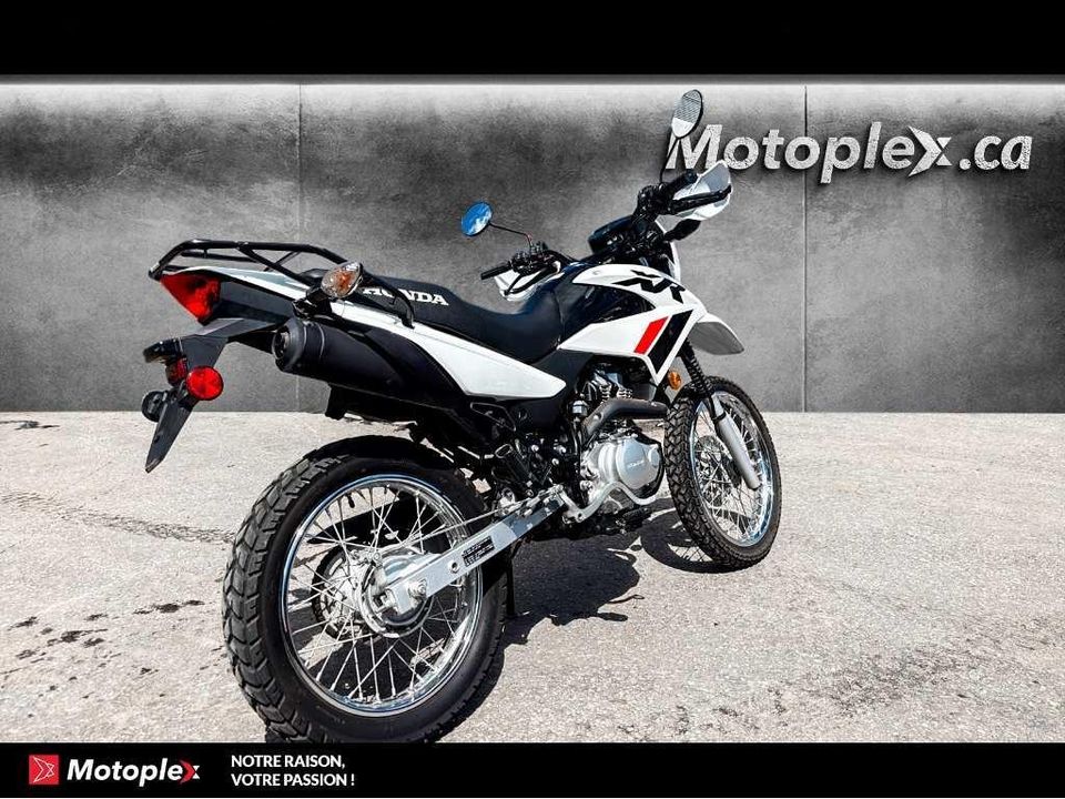 Honda XR150 2023 - Image 3