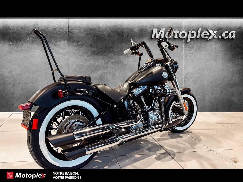 Harley-Davidson SOFTAIL SLIM 2013 - Image 3