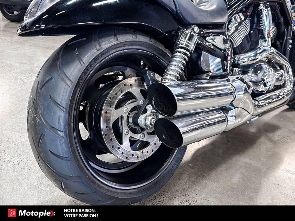 Harley-Davidson VROD NIGHT ROD *BAS KILO* 2006 - Image 4