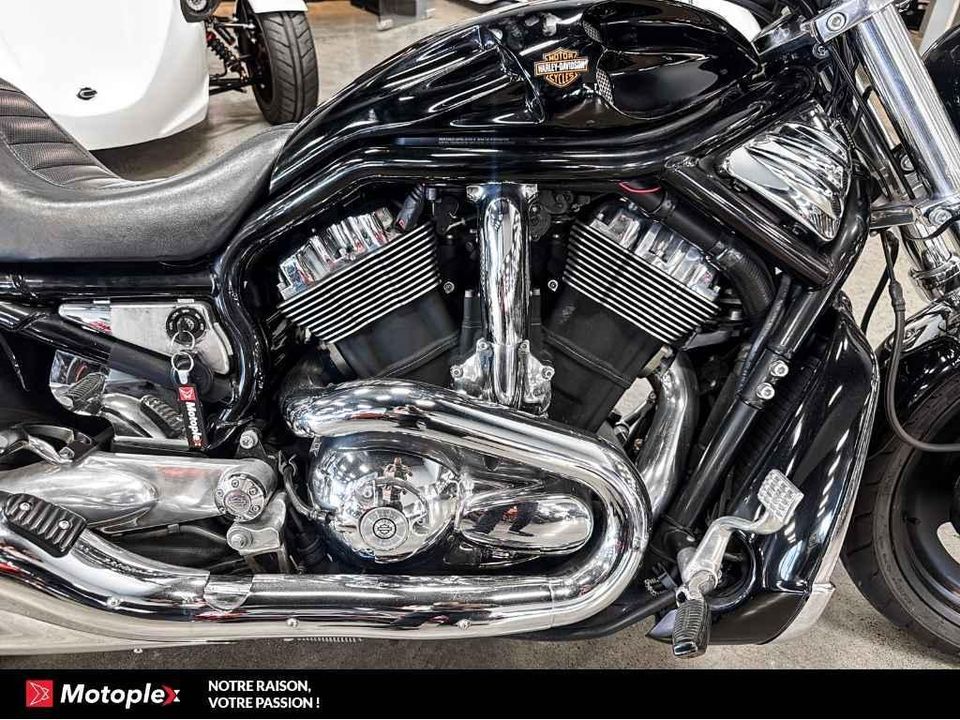 Harley-Davidson VROD NIGHT ROD *BAS KILO* 2006 - Image 6